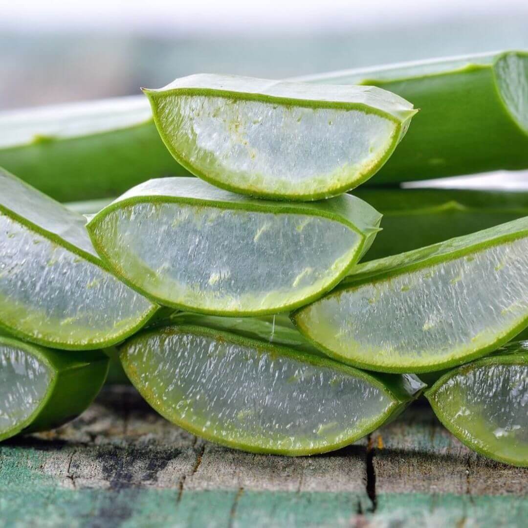 Aloe Vera